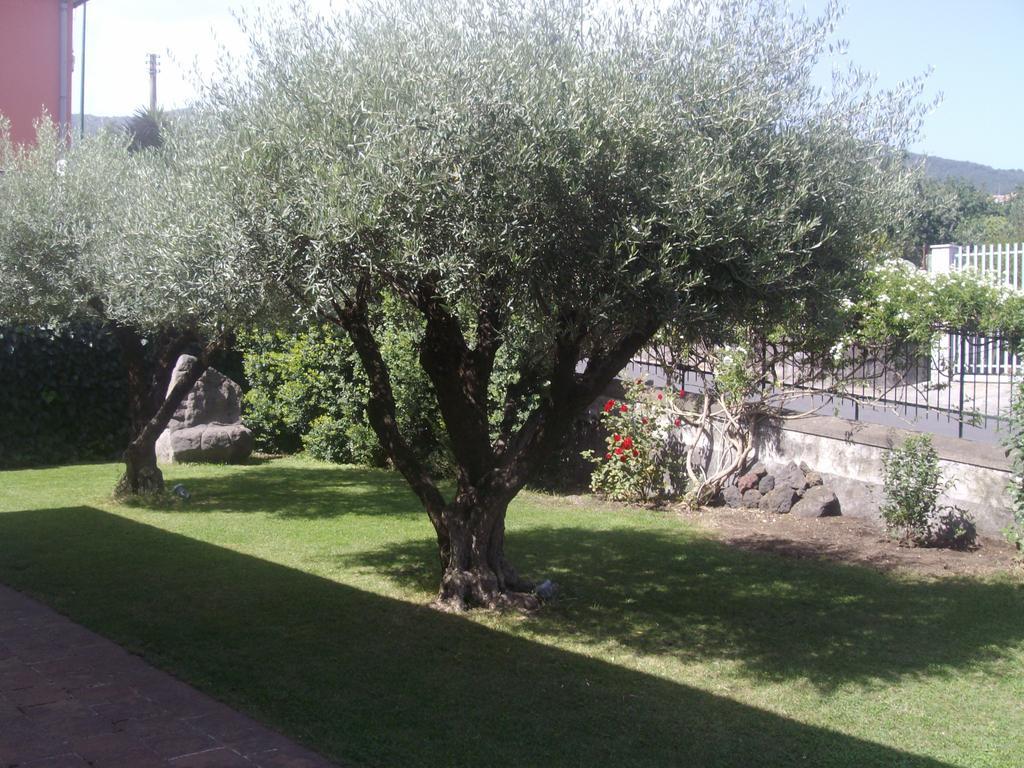 فيلا Scatitti House زافيرانا إتنيا الغرفة الصورة